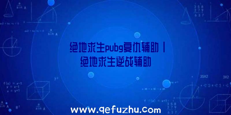 「绝地求生pubg复仇辅助」|绝地求生逆战辅助